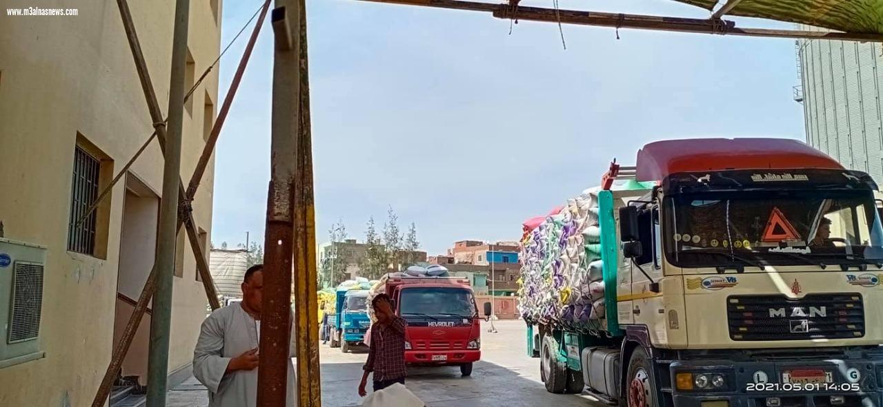وكيل وزارة التموين بكفر الشيخ.. إجمالى المورد من الأقماح 86589 طن و210  كجم
